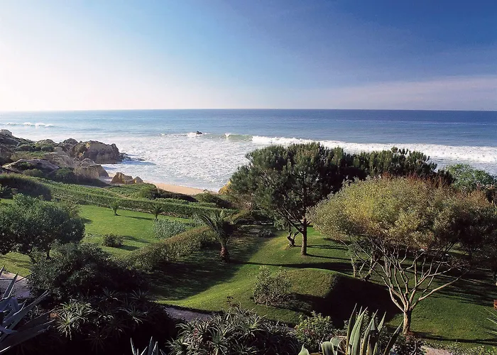 Joya אלבופיירה