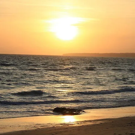 Joya Αλμπουφέιρα