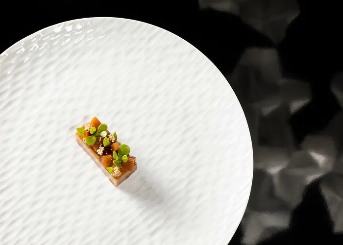 度假村 维拉霍亚酒店